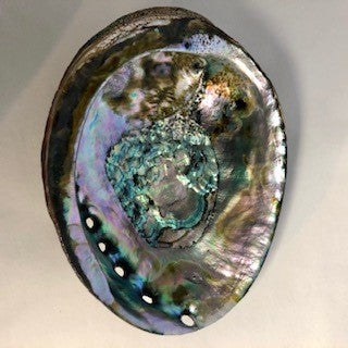 Abalone Shell Large Natural Green